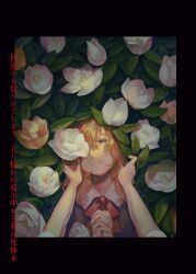 maribel hearn from touhou