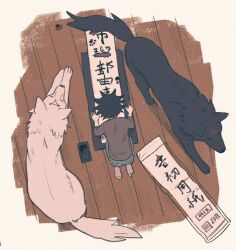 fushiguro megumi from jujutsu kaisen