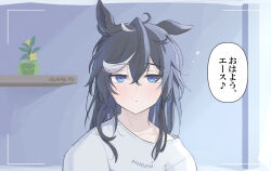 katsuragi ace (umamusume) from umamusume