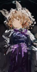 yakumo ran from touhou by po (anhk5528)