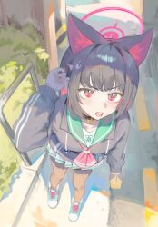kazusa (blue archive) from blue archive