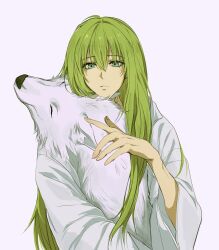 fate/strange fake fan art