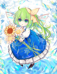 daiyousei from touhou