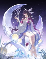 columbina (genshin impact) from genshin impact