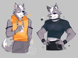 wolf o'donnell from star fox