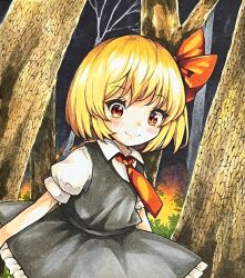 rumia from touhou by tatuhiro