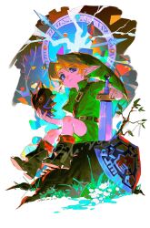 link from the legend of zelda