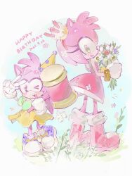 amy rose from sonic (series)