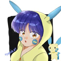 minun from pokemon