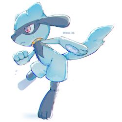riolu from pokemon