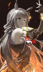 chrono genesis (umamusume) from umamusume by inishie kumo
