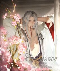 sephiroth from final fantasy