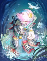 amy rose from pieta