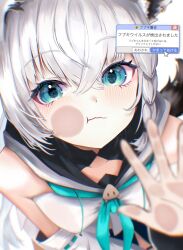 shirakami fubuki from hololive