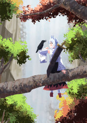 inubashiri momiji from touhou