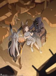amiya (arknights) from arknights