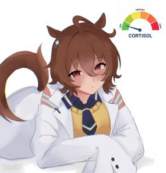 agnes tachyon (tach-nology) (umamusume) from umamusume