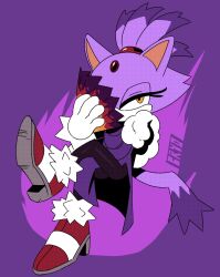 blaze the cat from sonic (series)