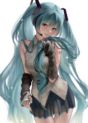hatsune miku from vocaloid