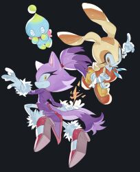 blaze the cat from sonic (series) by unneul