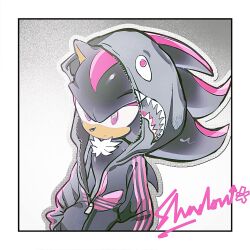 shadow the hedgehog from sonic (series)