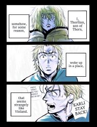 thorfinn from vinland saga