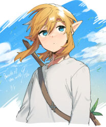 link from the legend of zelda by ttanuu.