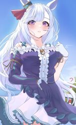 mejiro ardan (umamusume) from umamusume