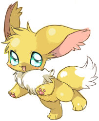 eevee from pokemon