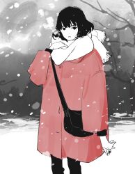 akashi (yojouhan) from yojouhan shinwa taikei