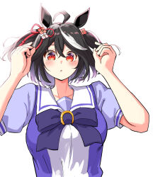 kitasan black (umamusume) from umamusume
