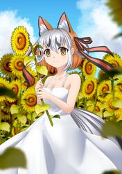 island fox (kemono friends) from air by kawanami eito