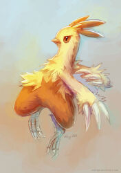 combusken from pokemon