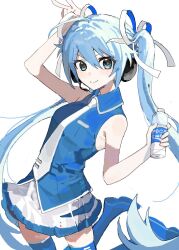 hatsune miku from vocaloid