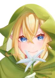 ryu lion from dungeon ni deai wo motomeru no wa machigatteiru darou ka