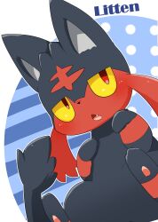 litten from pokemon