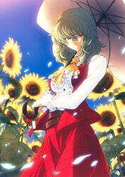 kazami yuuka from touhou by imizu (nitro unknown)