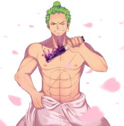 roronoa zoro from one piece by caydeus