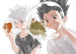 gon freecss from hunter x hunter