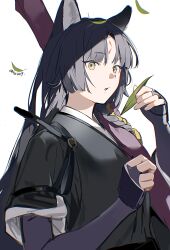 saga (arknights) from arknights