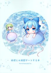 cirno from touhou by coa (chroo x)