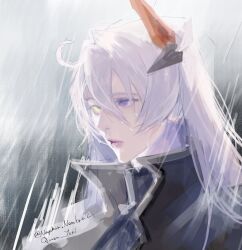 kiana kaslana from honkai (series)