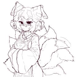 yakumo ran from touhou by rampa93