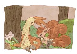 combusken from pokemon
