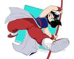 chi-chi (dragon ball) from dragon ball