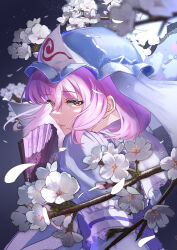 saigyouji yuyuko from touhou