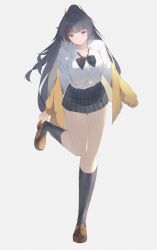 raiden mei from honkai (series)