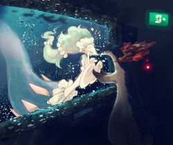 milotic from pokemon