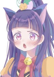 izayoi liko from mahou girls precure! by lilylily0601