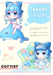 cirno from touhou by coa (chroo x)